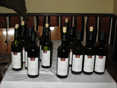 Weinfest 2011